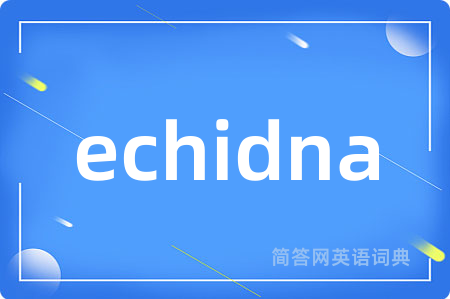 echidna