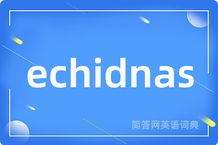 echidnas