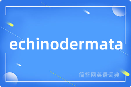 echinodermata是什么意思,echinodermata的中文翻译 echinodermata