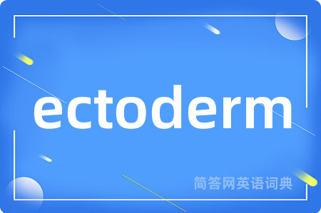 ectoderm是什么意思,ectoderm的中文翻译 ectoderm