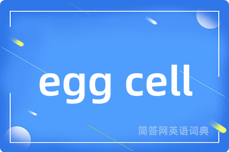 egg cell