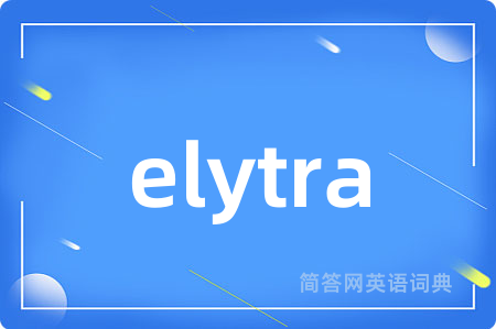 elytra是什么意思,elytra的中文翻译 elytra