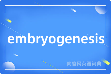 embryogenesis
