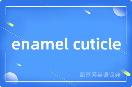 enamel cuticle是什么意思,enamel cuticle的中文翻译 enamel cuticle