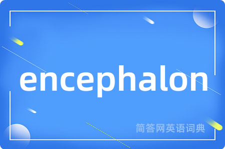 encephalon