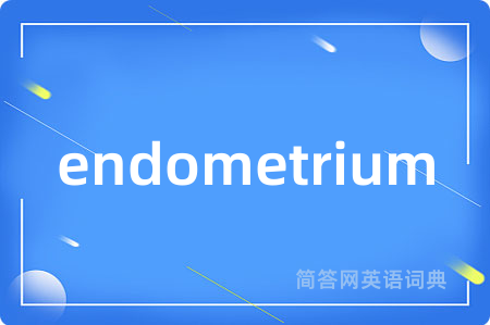 endometrium