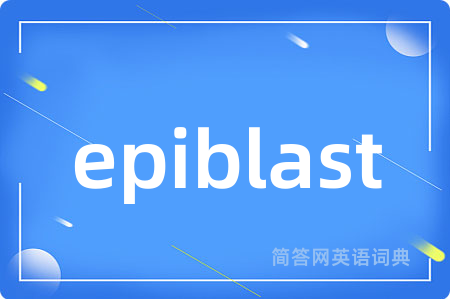 epiblast是什么意思,epiblast的中文翻译 epiblast
