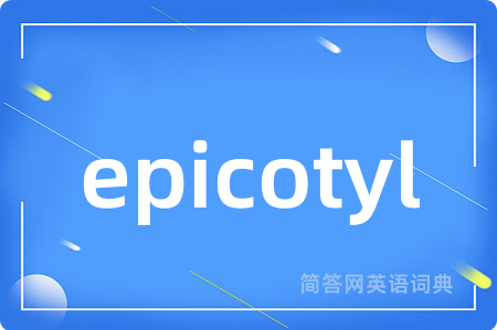 epicotyl是什么意思,epicotyl的中文翻译 epicotyl