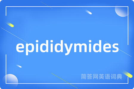 epididymides