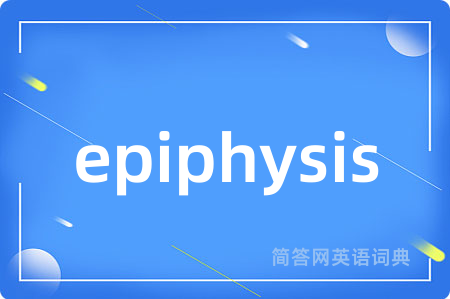epiphysis是什么意思,epiphysis的中文翻译 epiphysis