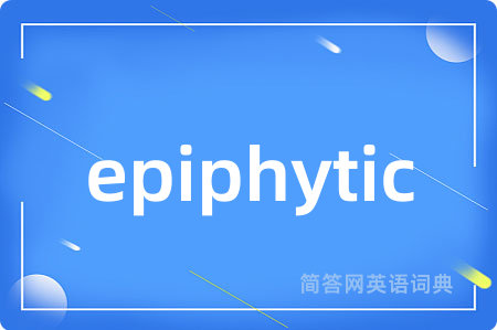 epiphytic是什么意思,epiphytic的中文翻译 epiphytic