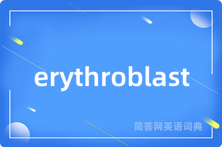 erythroblast是什么意思,erythroblast的中文翻译 erythroblast