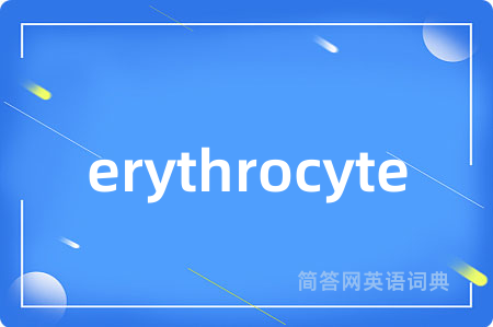 erythrocyte是什么意思,erythrocyte的中文翻译 erythrocyte