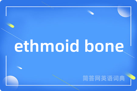 ethmoid bone是什么意思,ethmoid bone的中文翻译 ethmoid bone