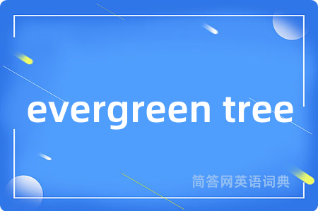 evergreen tree是什么意思,evergreen tree的中文翻译 evergreen tree