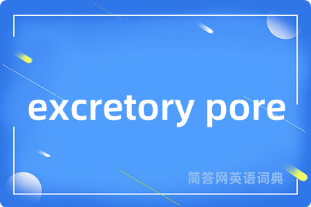 excretory pore是什么意思,excretory pore的中文翻译 excretory pore