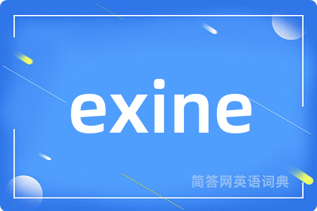 exine是什么意思,exine的中文翻译 exine