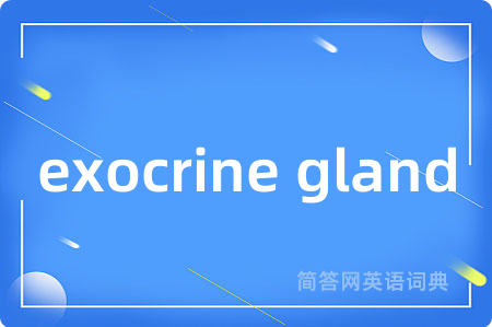 exocrine gland