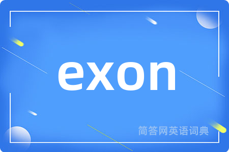 exon是什么意思,exon的中文翻译 exon