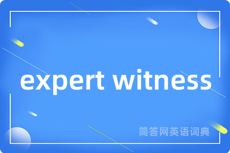 expert witness