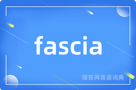 fascia是什么意思,fascia的中文翻译 fascia