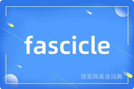 fascicle