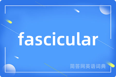 fascicular