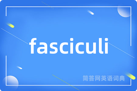 fasciculi