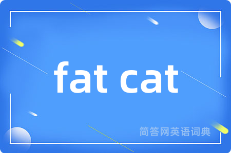fat cat是什么意思,fat cat的中文翻译 fat cat