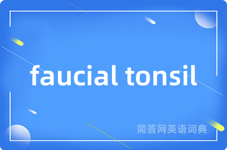 faucial tonsil是什么意思,faucial tonsil的中文翻译 faucial tonsil