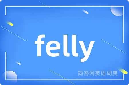felly是什么意思,felly的中文翻译 felly