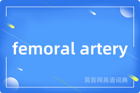 femoral artery