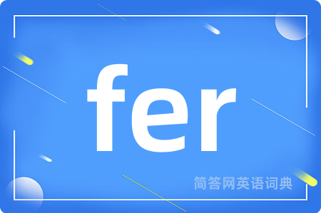 fer是什么意思,fer的中文翻译 fer