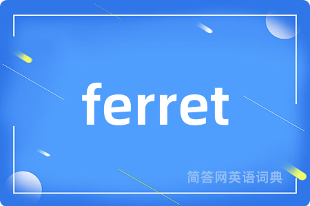 ferret是什么意思,ferret的中文翻译 ferret