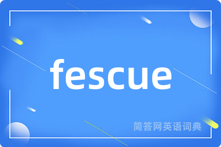 fescue是什么意思,fescue的中文翻译 fescue