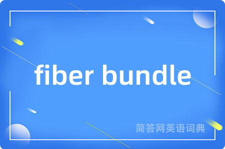 fiber bundle