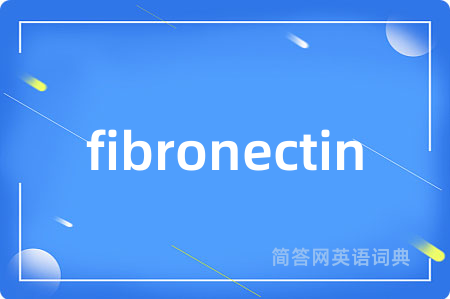 fibronectin