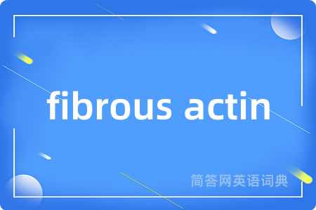 fibrous actin