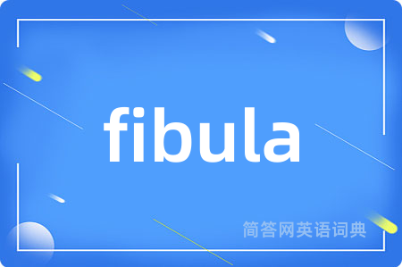 fibula