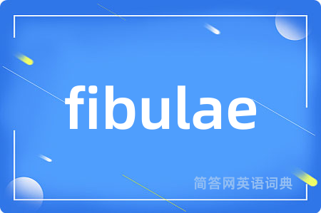 fibulae