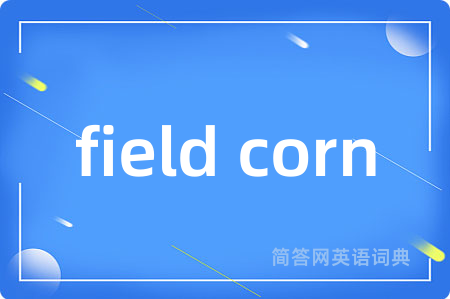 field corn是什么意思,field corn的中文翻译 field corn