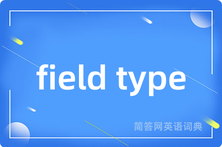 field type是什么意思,field type的中文翻译 field type