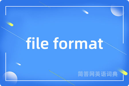 file format
