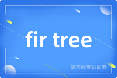fir tree是什么意思,fir tree的中文翻译 fir tree