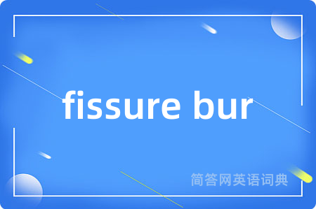 fissure bur