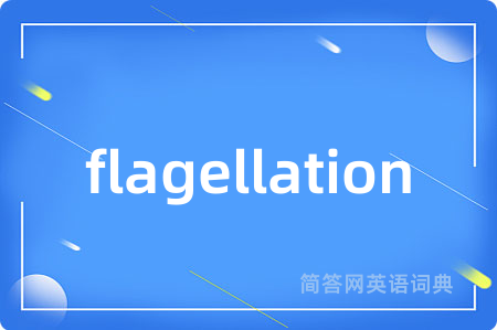 flagellation是什么意思,flagellation的中文翻译 flagellation