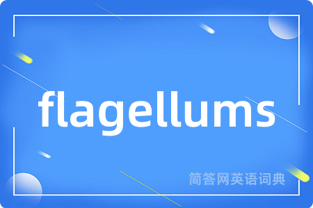 flagellums是什么意思,flagellums的中文翻译 flagellums