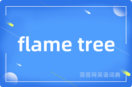 flame tree