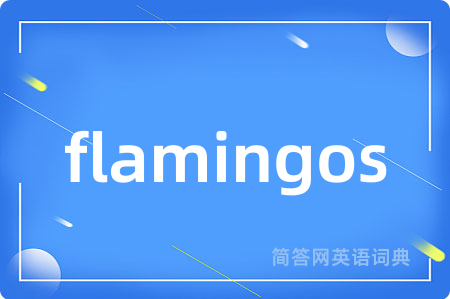 flamingos