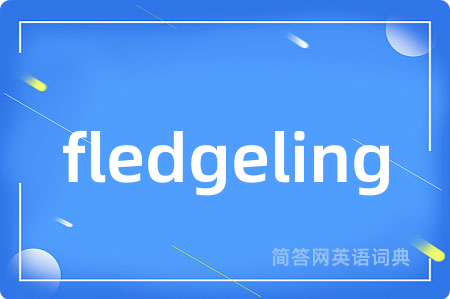 fledgeling是什么意思,fledgeling的中文翻译 fledgeling